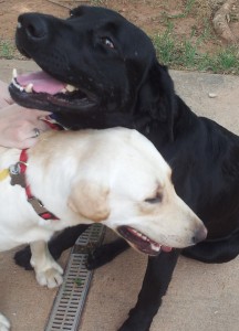 Jet & Brock